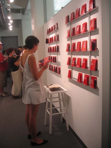 installation at brooklyn arts council gallery, brooklyn view 1