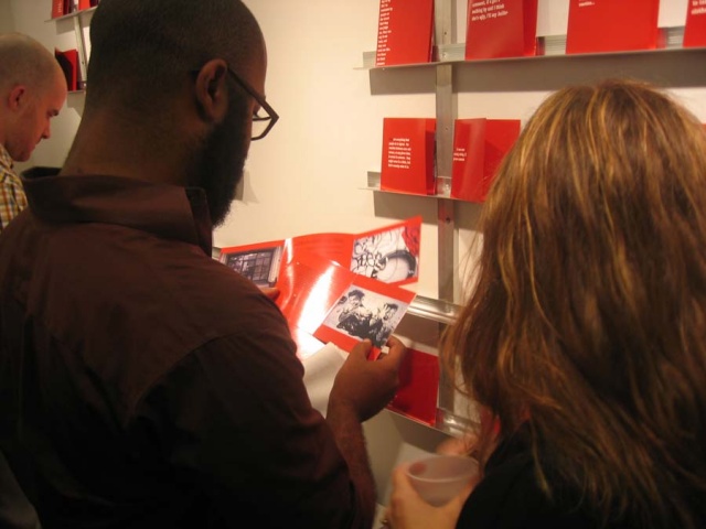 installation at brooklyn arts council gallery, brooklyn view 2