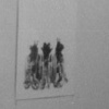 exhibiting symptoms installation view 1