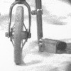 exhibiting symptoms, 1999