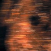 visible cities (3553)
