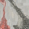 Bifurcation