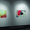 Syndicated Broadcast MFA Exhibition