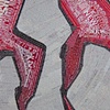 "Internal Bleeding" (Detail #1)