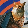 "Sticker Collage #18"