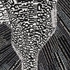 "Black Root Text"
