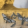 Fine Art and Illustration