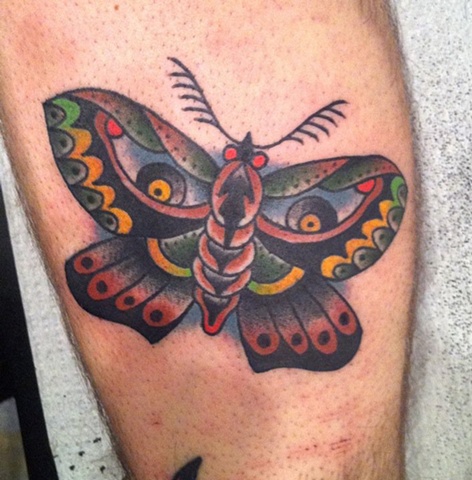 mothra