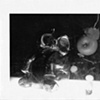 Still Life with Golden Elephant and Apple