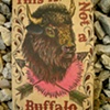 This is Not a Buffalo