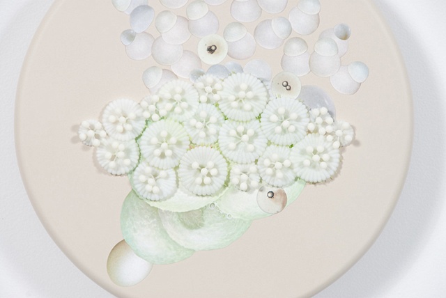 untitled lure (white)