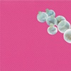 paper lures (light blue sea spheres on pink dots)
