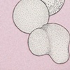 untitled lure (pink flocking), detail