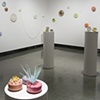 lures, installation view