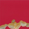 paper lure (beige sea blobs on red)