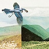 pop song, detail
