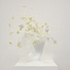 untitled (white lure)