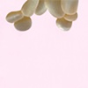paper lure (beige sea blobs on light pink)