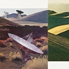 dunes and dishes, detail
