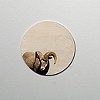now i've got you in my sights (detail)