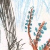 Drawing 4