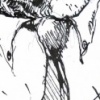 Birdsuit11