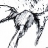 Birdsuit19