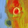Voice in the Wildneress 1