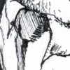 Birdsuit12