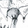 Birdsuit15
