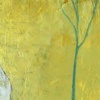 Voice in the Wilderness 3