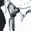Birdsuit18