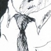 Birdsuit14