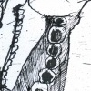Drawing 2