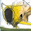 97