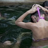 Water 3