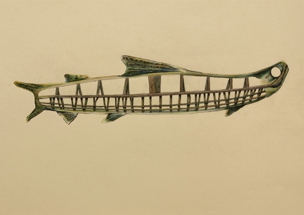 Nunivak/Chinook