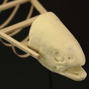 Kayak/Trout (detail)