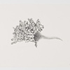 Almost Unnatural: Aspergillus/Nose