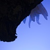 Deep Sea, or
Box 6, Detail
