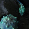 Deep Sea, or (detail from series)