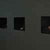 Deep Sea, or
Mills College Installation View 1