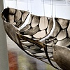 Canoe III