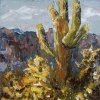 Desert Beauty
