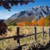 Fence