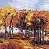 Fall Colors