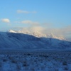 Elk Refuge: Dawn
