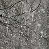 Can you see me?