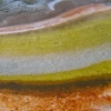 Yellowstone: Bacteria Mats