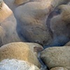 Geyser